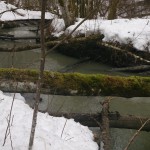 Norges største intakte ravineområde #utivillmarka