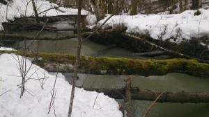 Norges største intakte ravineområde #utivillmarka