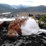 Godt å være tilbake i Jotunheimen #utivillmarka