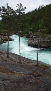 #utivillmarka Ridderspranget