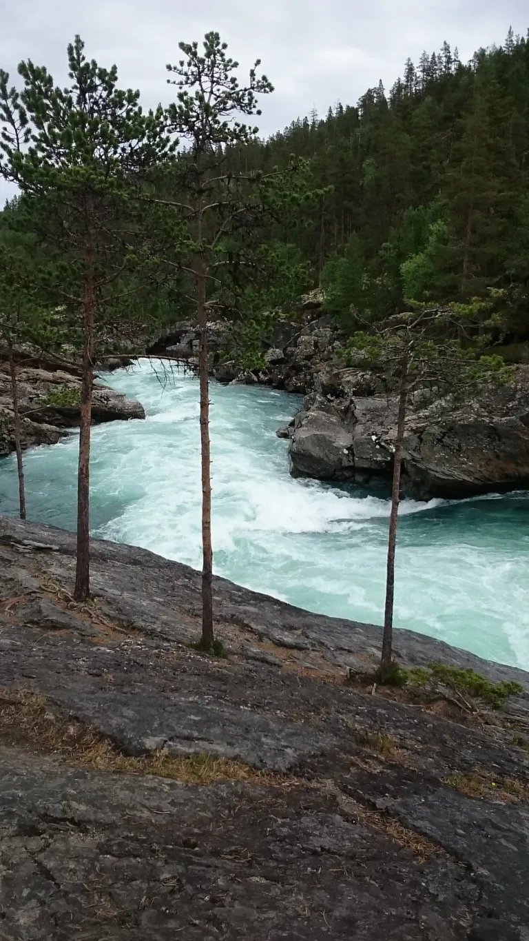 #utivillmarka Ridderspranget